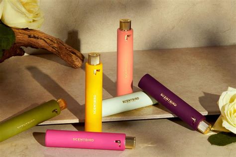 best perfumes on scentbird|how much does scentbird cost.